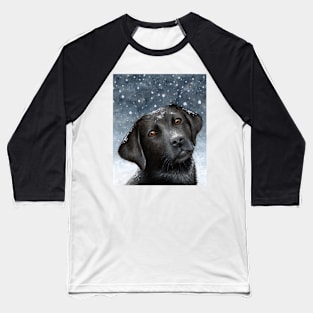 Dog 100 Black Labrador Baseball T-Shirt